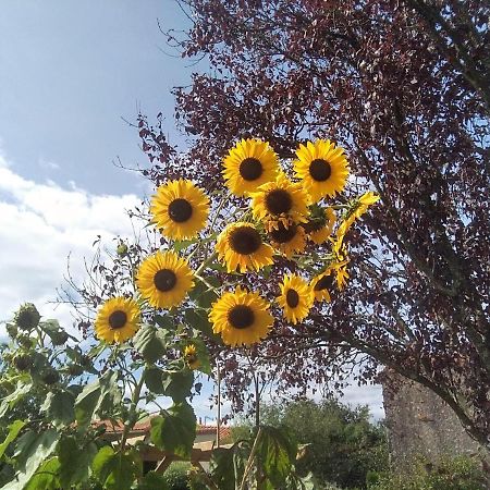 Les Tournesols La Bernardiere Exterior foto