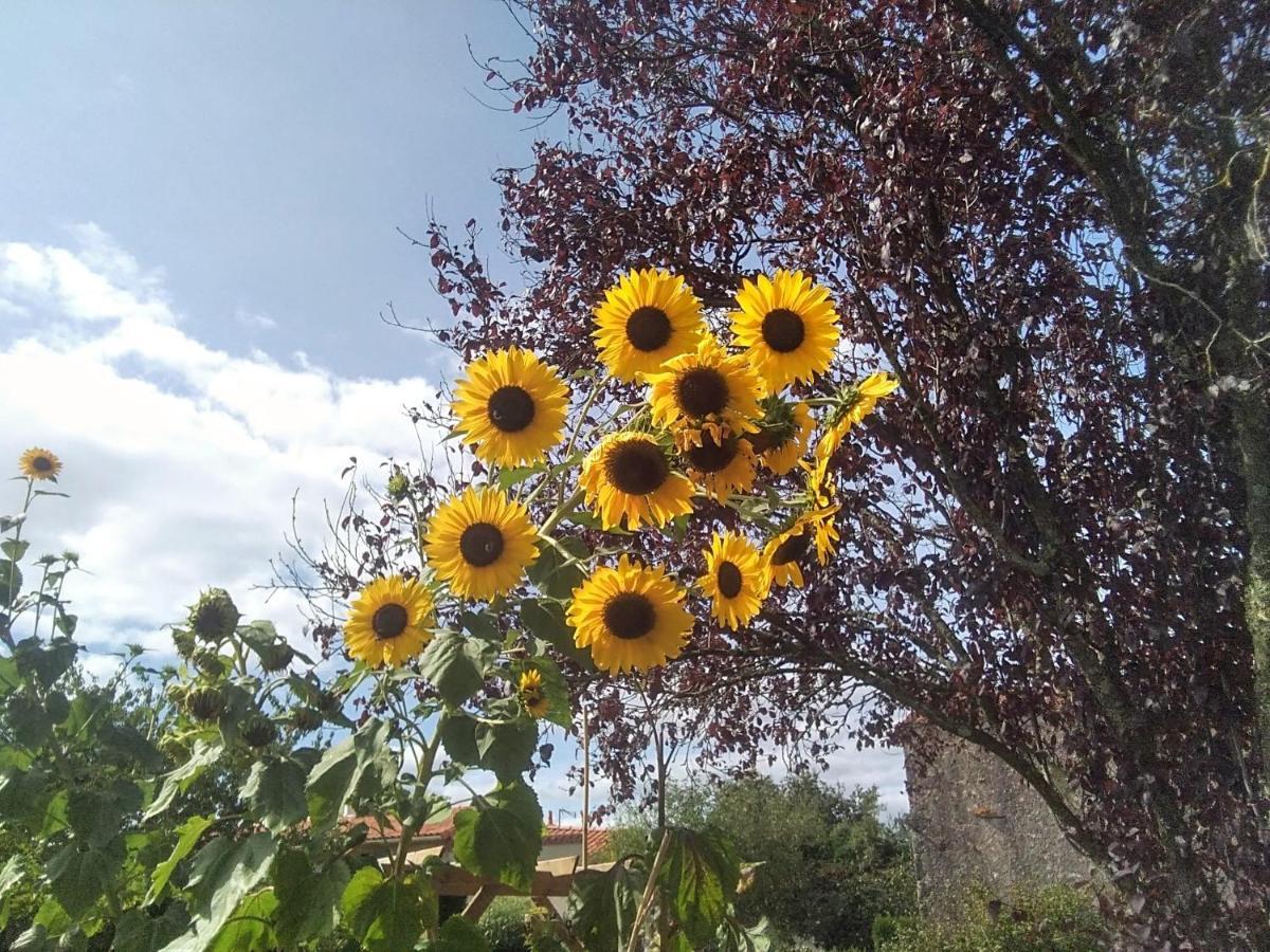 Les Tournesols La Bernardiere Exterior foto