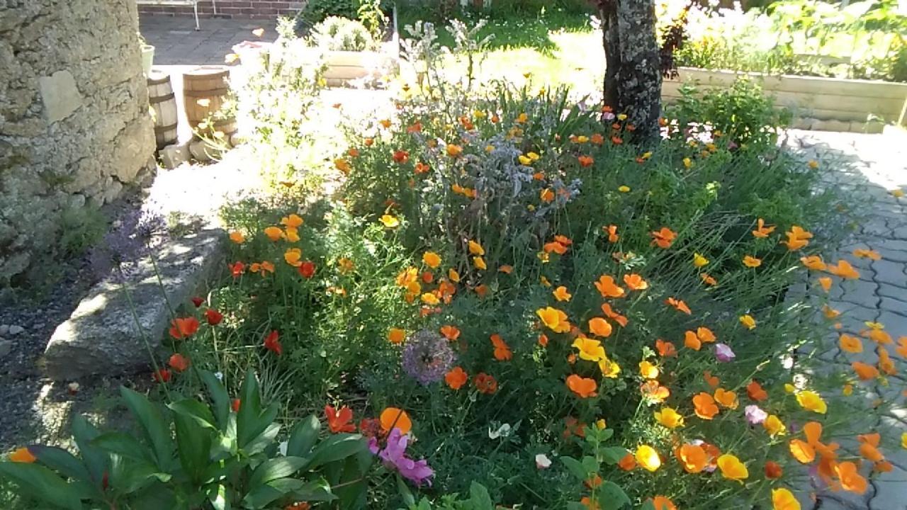 Les Tournesols La Bernardiere Exterior foto